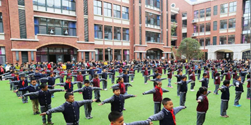 绿蛙成功落户于乐湾国际实验小学多功能厅